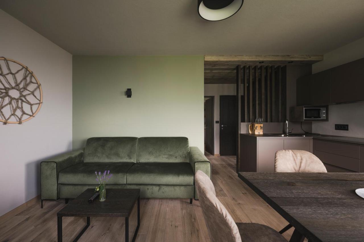 الشقق الفندقية سكينفي  Haus Artus المظهر الخارجي الصورة